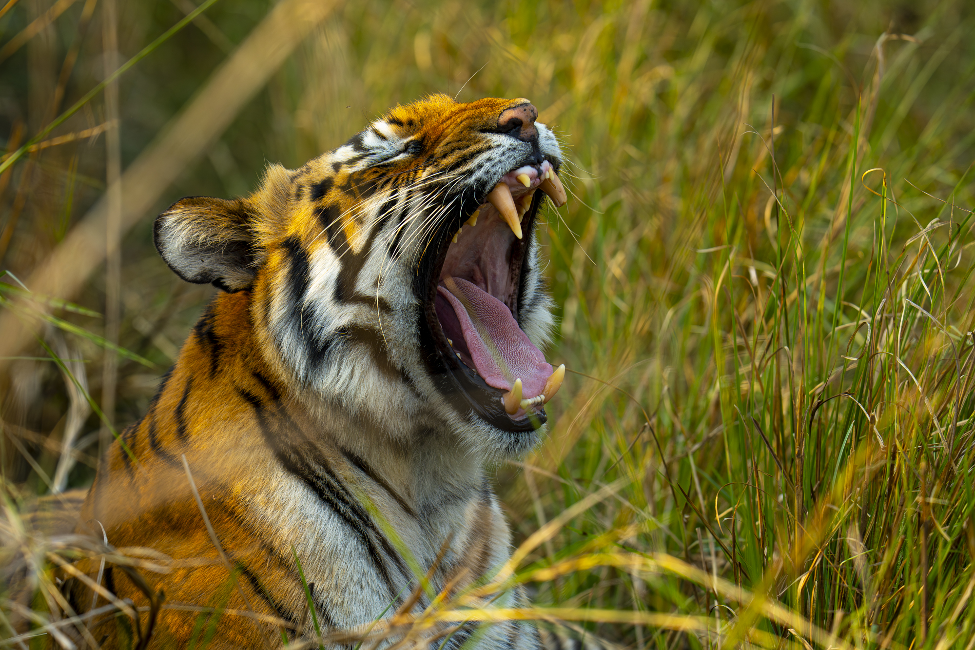 _DSC7691-Mejorado-NR